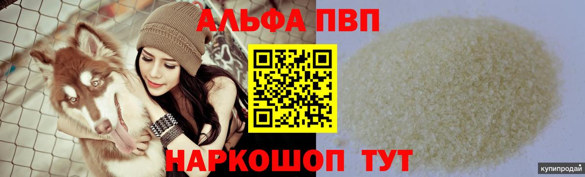 A PVP СК КРИС Электрогорск